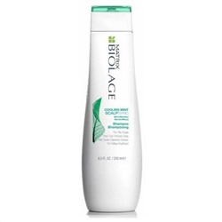 Шампунь для волос освежающий Matrix Biolage Scalpsync Shampoo
