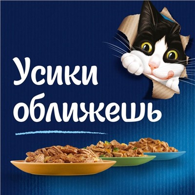 Влажный корм FELIX "Двойной вкус" для кошек, ягненок/курица, пауч 85 г
