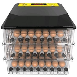 Инкубатор автоматический SITITEK 196, вместимость до 196 яиц, 220 В