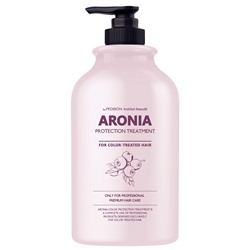 Маска для волос АРОНИЯ Institute-beaut Aronia Color Protection Treatment Evas Pedison 500 мл