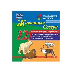 Учитель, Цветные карточки 12шт. Издательство Учитель