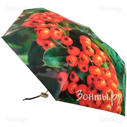 Мини зонт "Рябина" Rainlab 006 MiniFlat