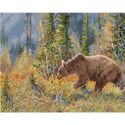 Картина по номерам 40х50 GX 30935 Медведь