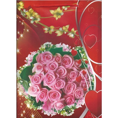 CN/ Пакет пластиковый №HL-С127 (30*23*8см) Розы розовые