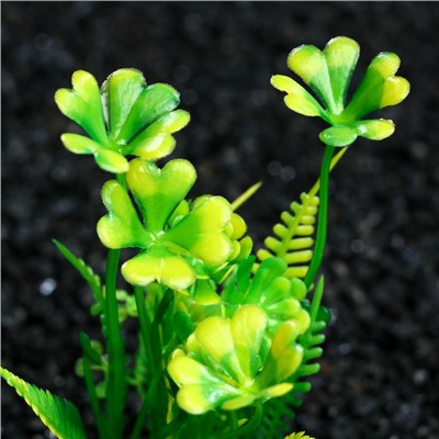 Растение искусственное аквариумное, 3 х 9 см, оранжево-зелёное, 1 шт.