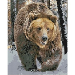 Алмазная мозаика 40х50, круглые стразы QA 202666 Бурый медведь