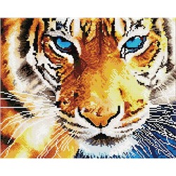 Алмазная мозаика 40х50, круглые стразы QA 200459 Взгляд тигра