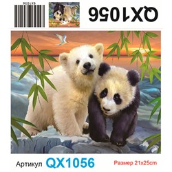 АЧ QX1056, 21х25 см