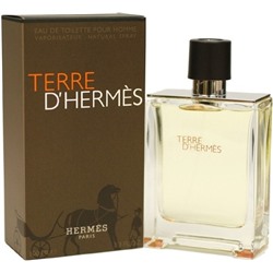 HERMES TERRE D' HERMES FOR MEN EDT 100ml